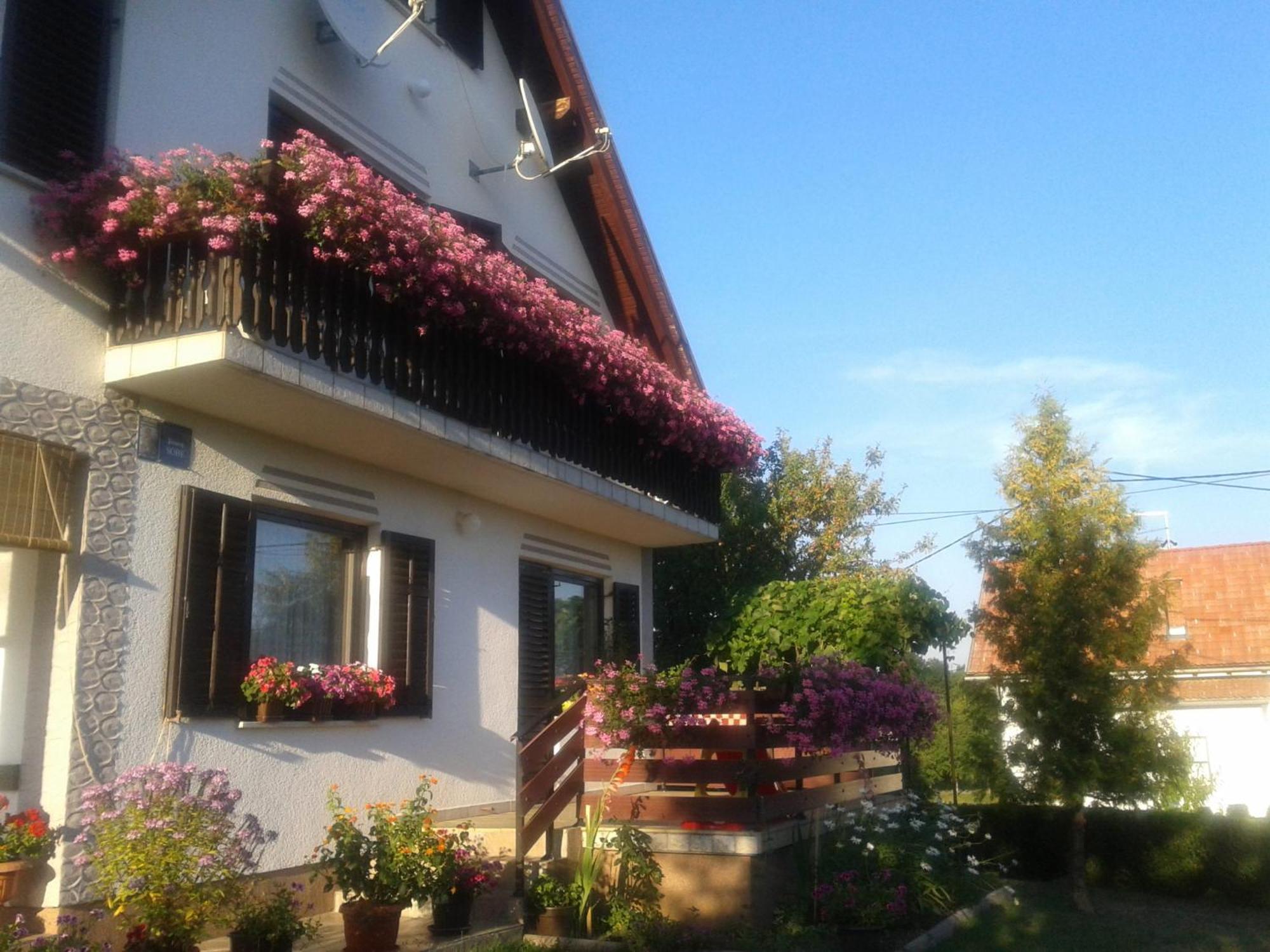 Guest House Adrijana Selište Drežničko Zewnętrze zdjęcie