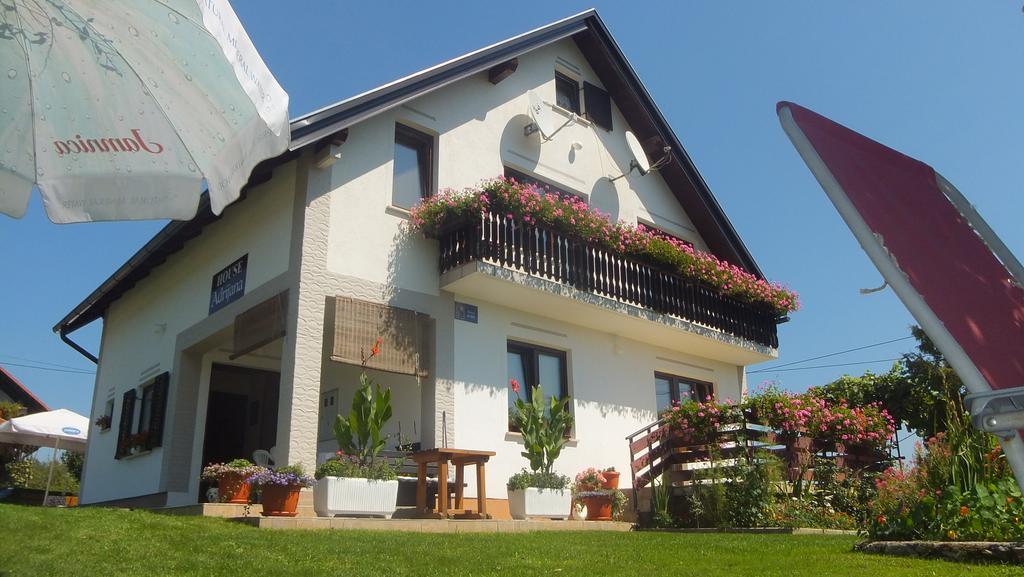 Guest House Adrijana Selište Drežničko Zewnętrze zdjęcie