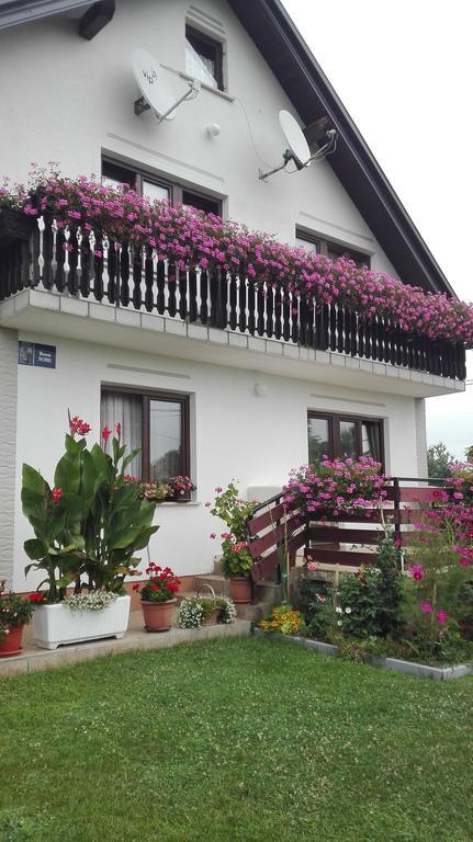 Guest House Adrijana Selište Drežničko Zewnętrze zdjęcie