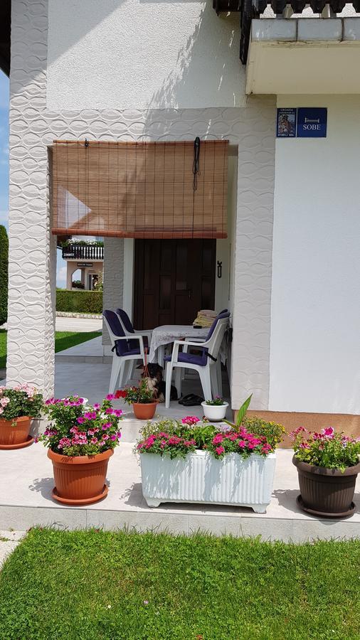 Guest House Adrijana Selište Drežničko Zewnętrze zdjęcie
